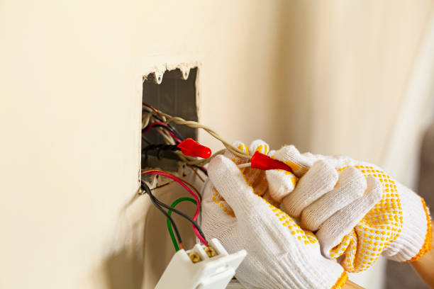 Best Surge Protection Installation  in Edgemoor, DE